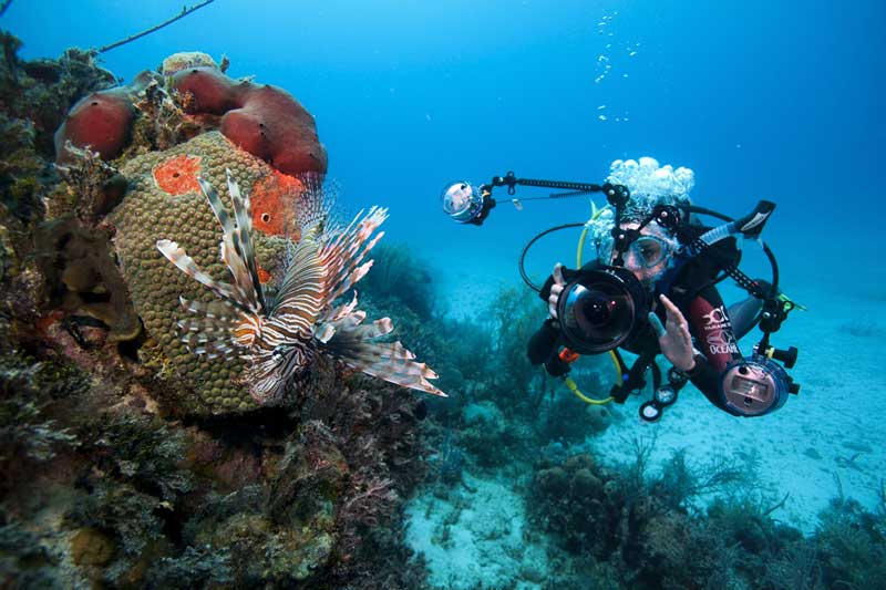 Underwater photography Koh Lanta