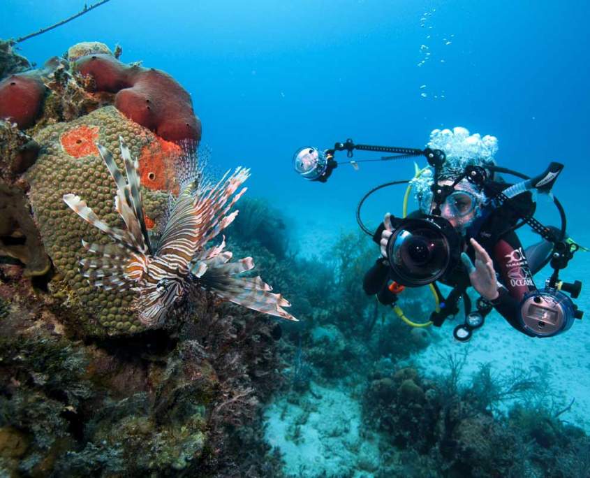 Underwater photography Koh Lanta