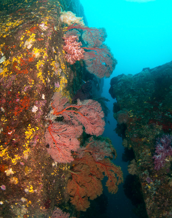 discover scuba diving koh lanta