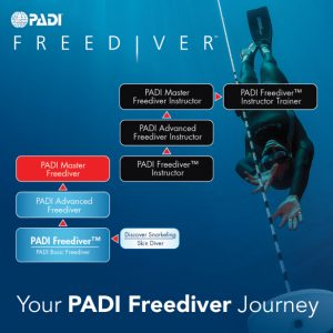 advanced freediver course koh lanta