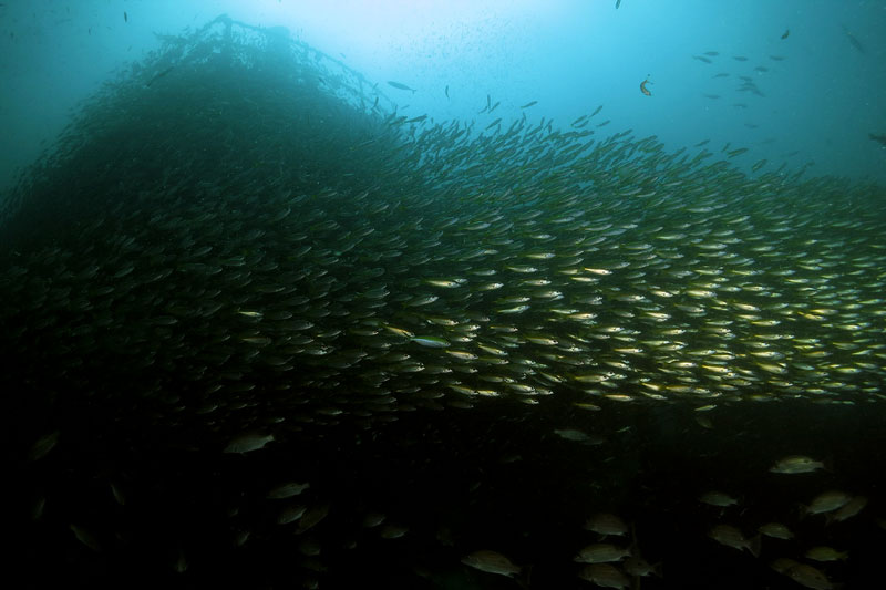 wreck diving koh lanta