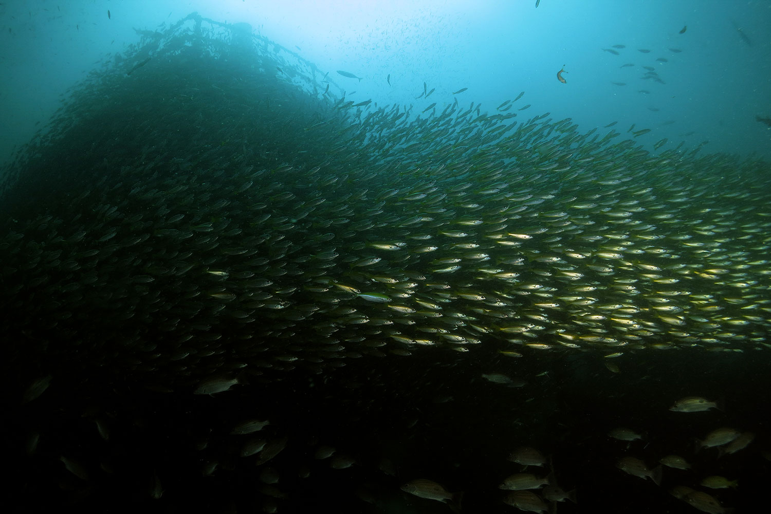wreck diving koh lanta