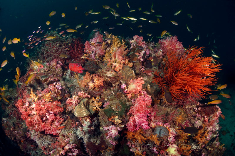 koh lanta dive deep