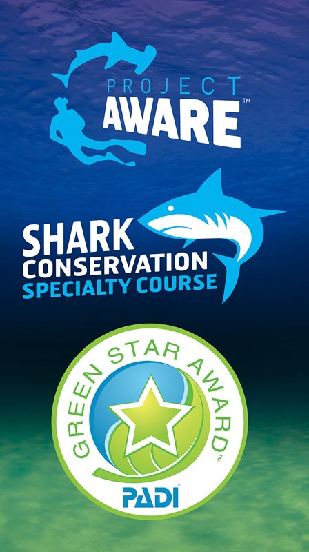 koh lanta shark conservation
